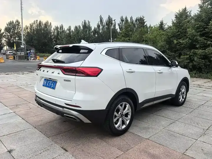 Haval H6 2021 National Tide Edition 1.5T Auto Champion Edition 4