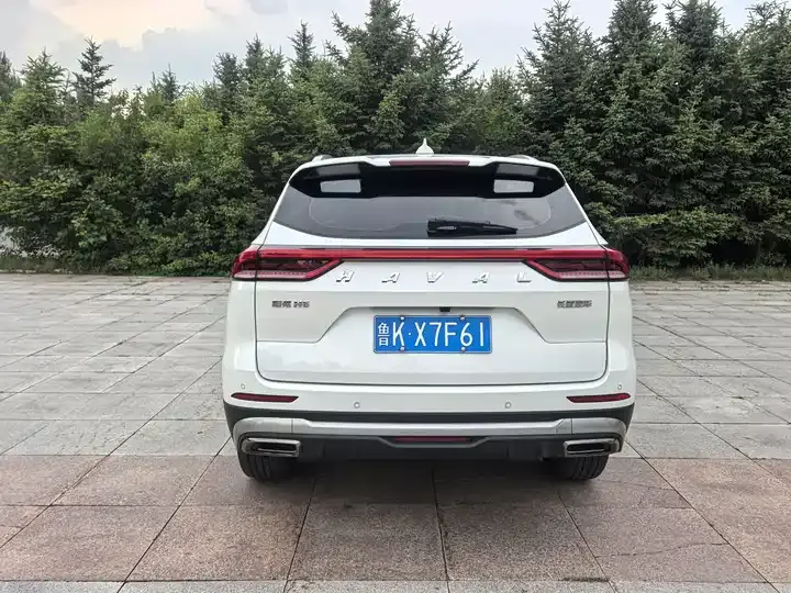 Haval H6 2021 National Tide Edition 1.5T Auto Champion Edition 5