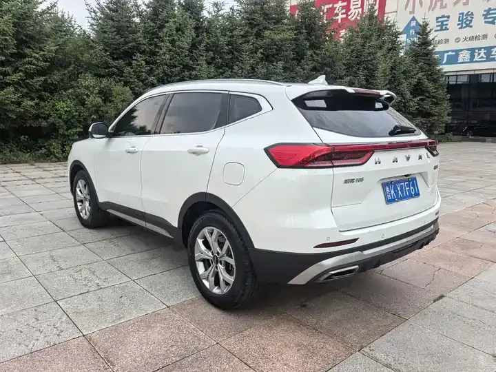Haval H6 2021 National Tide Edition 1.5T Auto Champion Edition 6