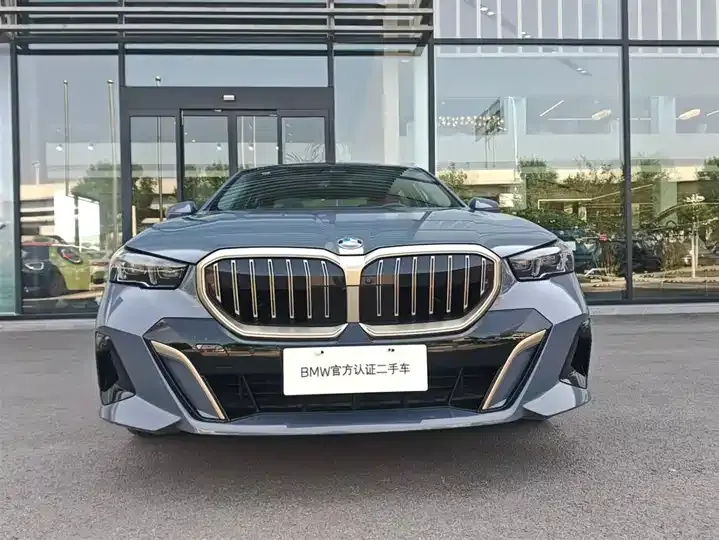 BMW 5 Series 2024 530Li Leading M Sports Suit 2