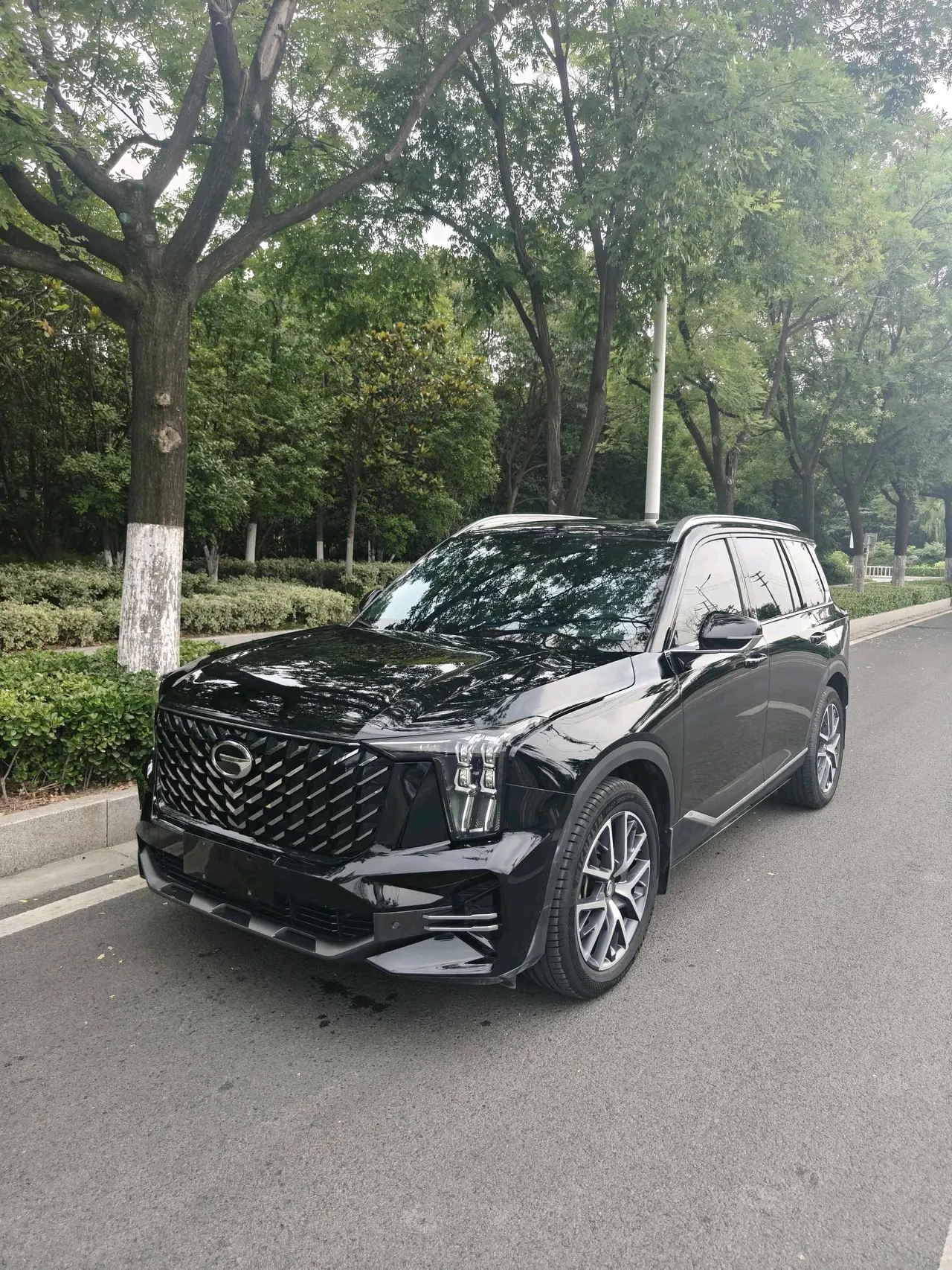 Open image lightbox: Chuanqi 2022 GS8 2.0TGDI Two-Drive Deluxe Zhilian Edition Seven-seat Automatic Gear