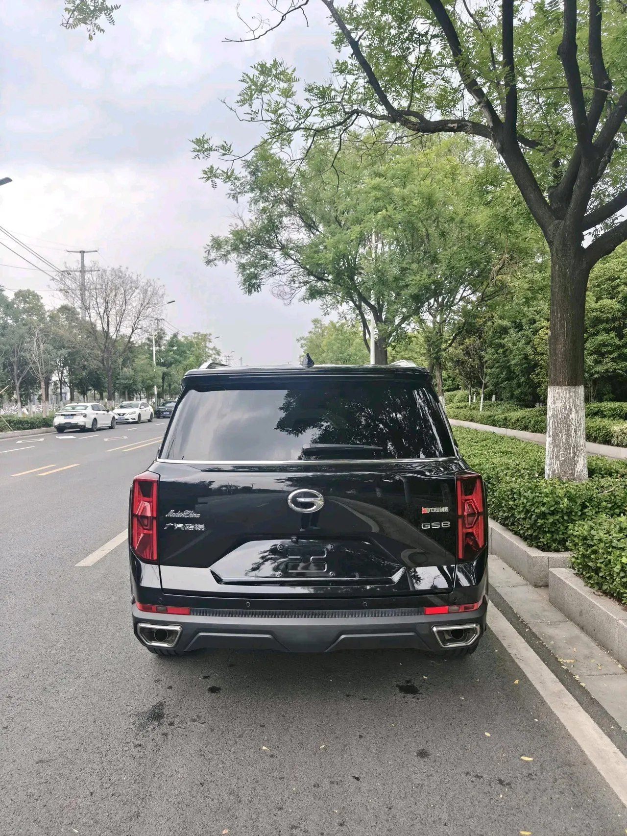 Chuanqi 2022 GS8 2.0TGDI Two-Drive Deluxe Zhilian Edition Seven-seat Automatic Gear 5