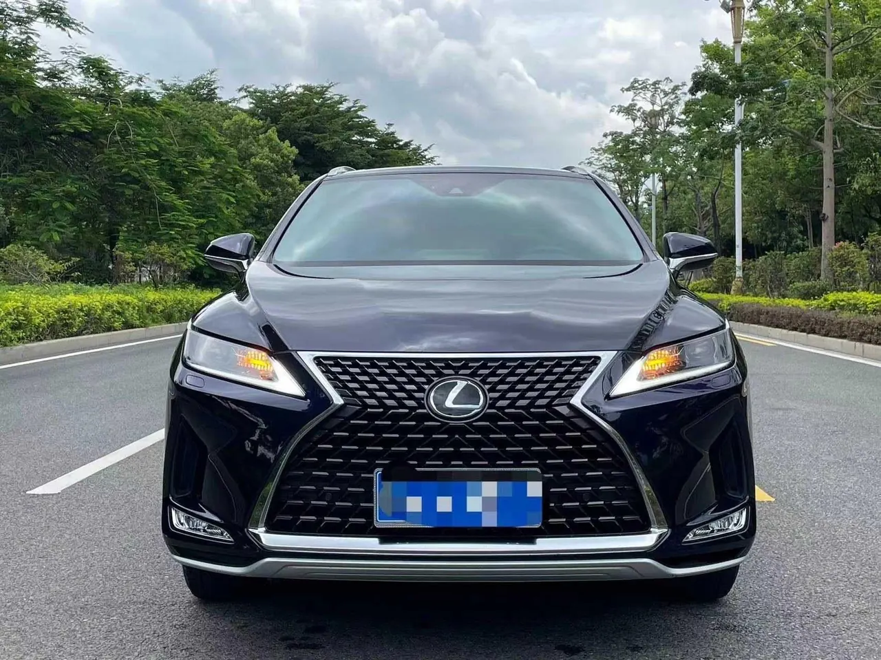 Lexus RX (Imported) 2020 RX300 2.0T Two-Drive Elite Edition (Revised) Automatic Gear 2