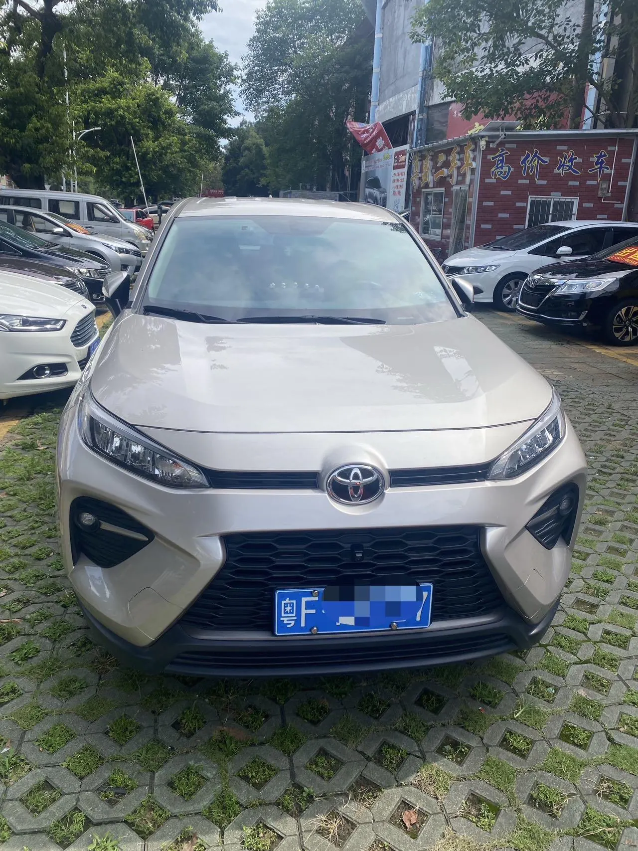 Toyota 2023 Wilanda 2.0 Stepless Two-Drive Leading Edition Automatic Gear 2