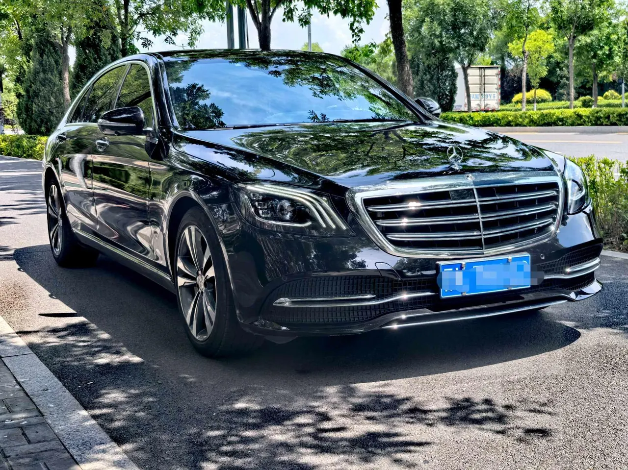 Mercedes Benz S-Class (Imported) 2020 S 350 L 48V 3.0T Exclusive Zhen Tibetan Edition Automatic Gear 2