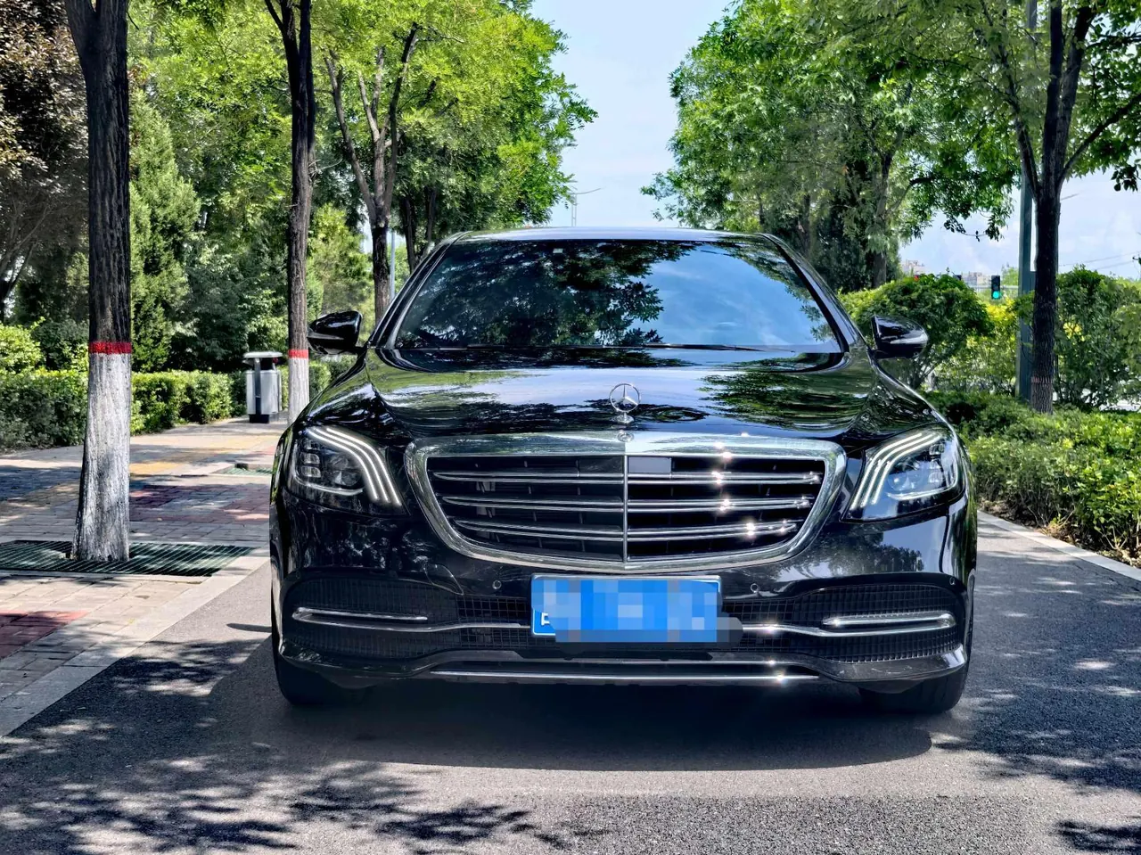 Mercedes Benz S-Class (Imported) 2020 S 350 L 48V 3.0T Exclusive Zhen Tibetan Edition Automatic Gear 3