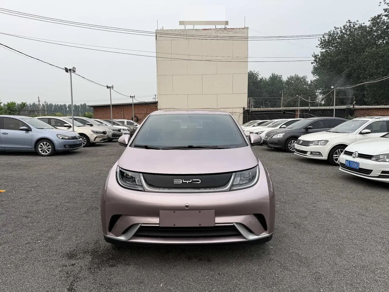 BYD 2021 Dolphin 405km Fashion Edition Automatic 2