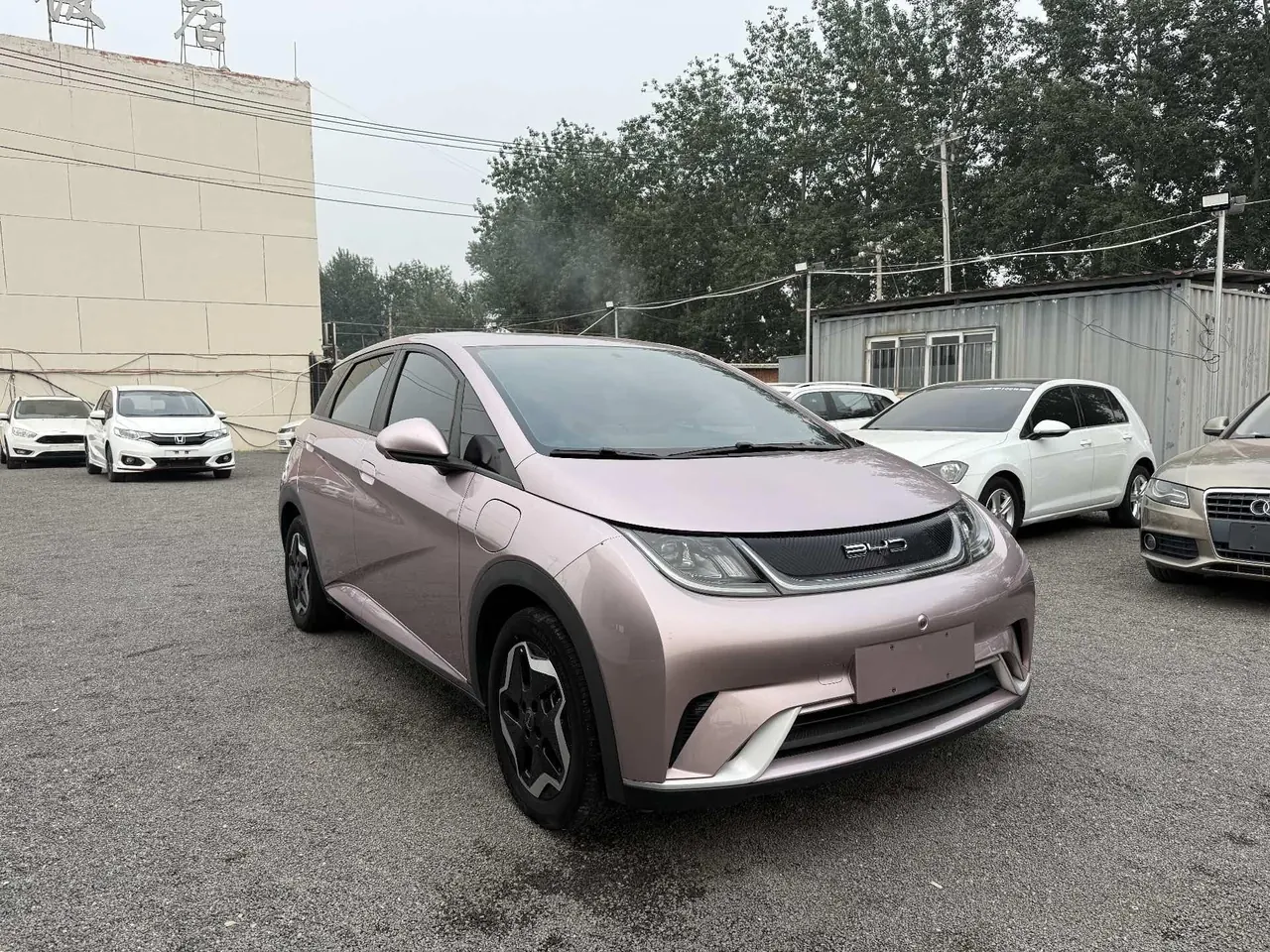 BYD 2021 Dolphin 405km Fashion Edition Automatic 3