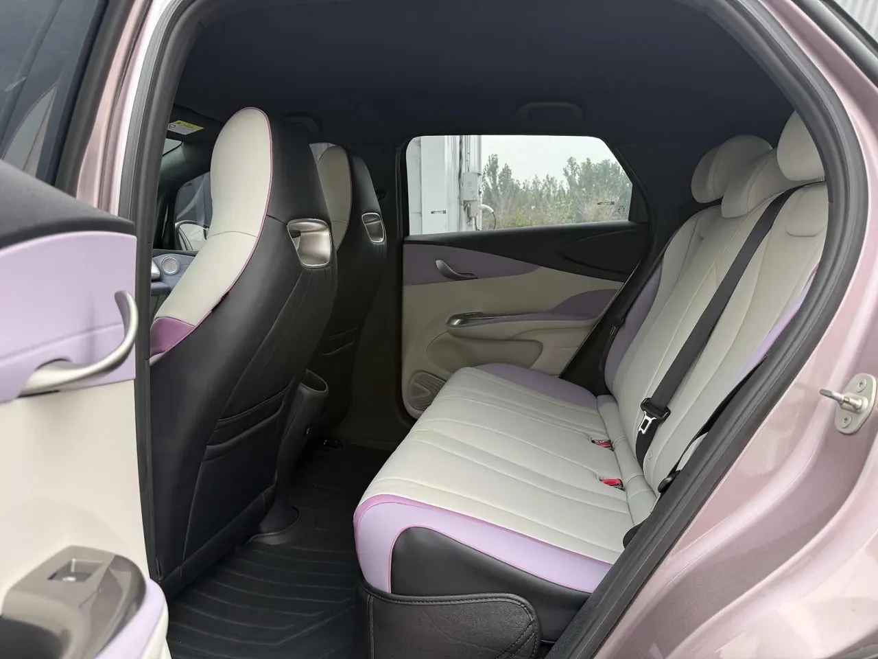BYD 2021 Dolphin 405km Fashion Edition Automatic 8