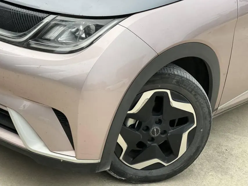 BYD 2021 Dolphin 405km Fashion Edition Automatic 6