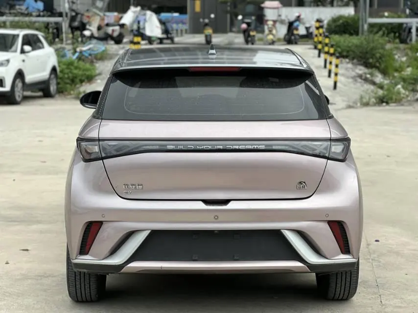BYD 2021 Dolphin 405km Fashion Edition Automatic 8
