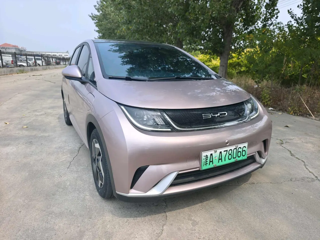 BYD 2021 Dolphin 405km Fashion Edition Automatic 2