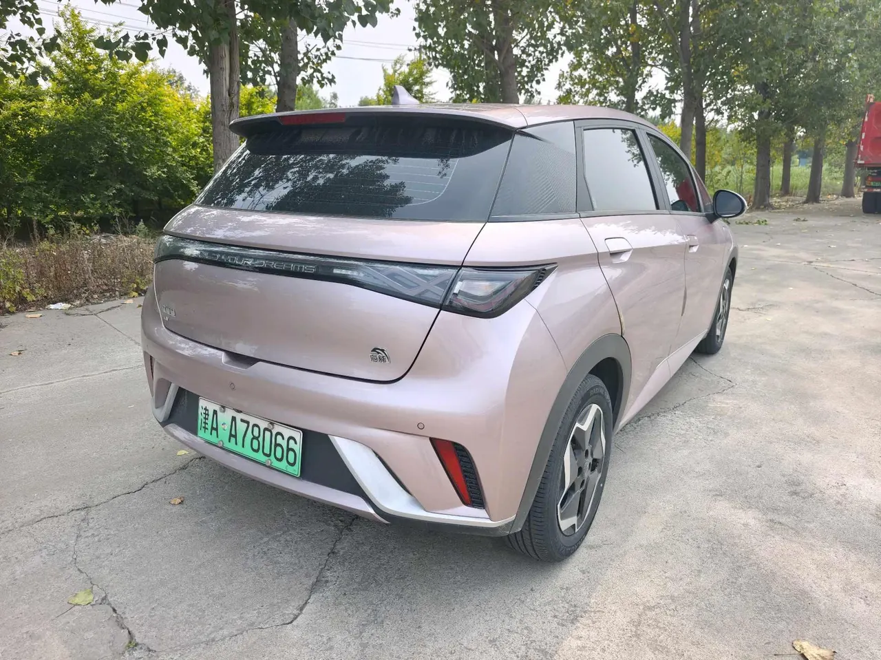 BYD 2021 Dolphin 405km Fashion Edition Automatic 3