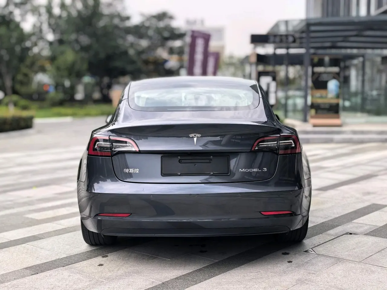Tesla 2021 Model 3 Standard Endurance Rear Drive Upgrade (Modified) Automatic Gear 6