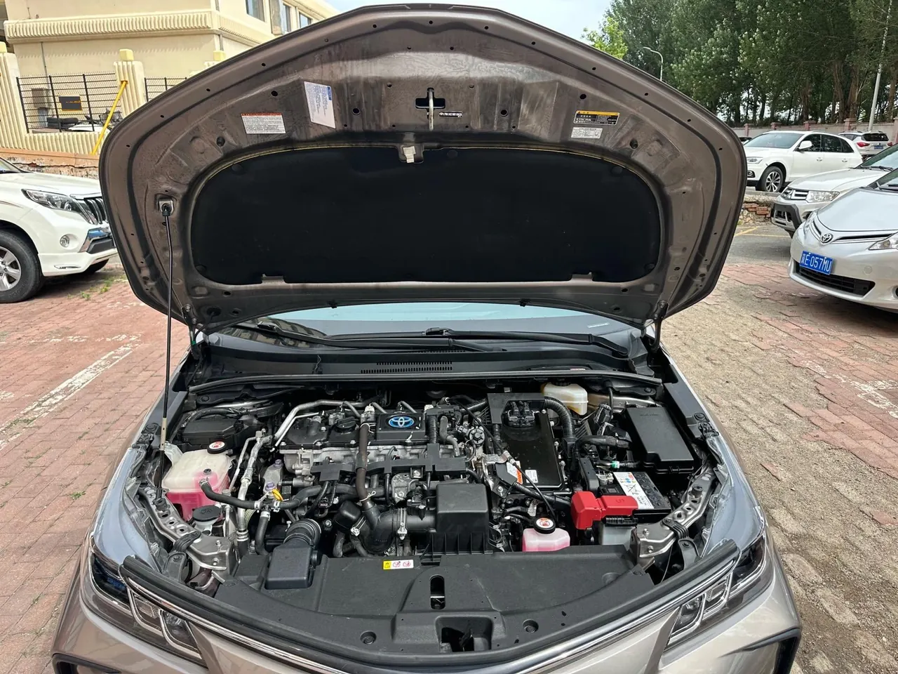 Toyota 2021 Corolla Double Engine 1.8 Stepless Elite Automatic Gear 10