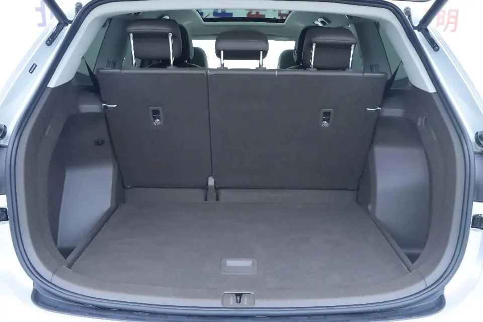 Volkswagen 2020 models of Viran (Viloran) 2.0TSI 330TSI Deluxe Edition Automatic Gear 7