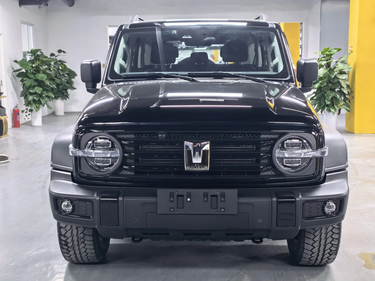 Tank 2021 Tank 300 2.0T Off-road Conqueror Automatic 2