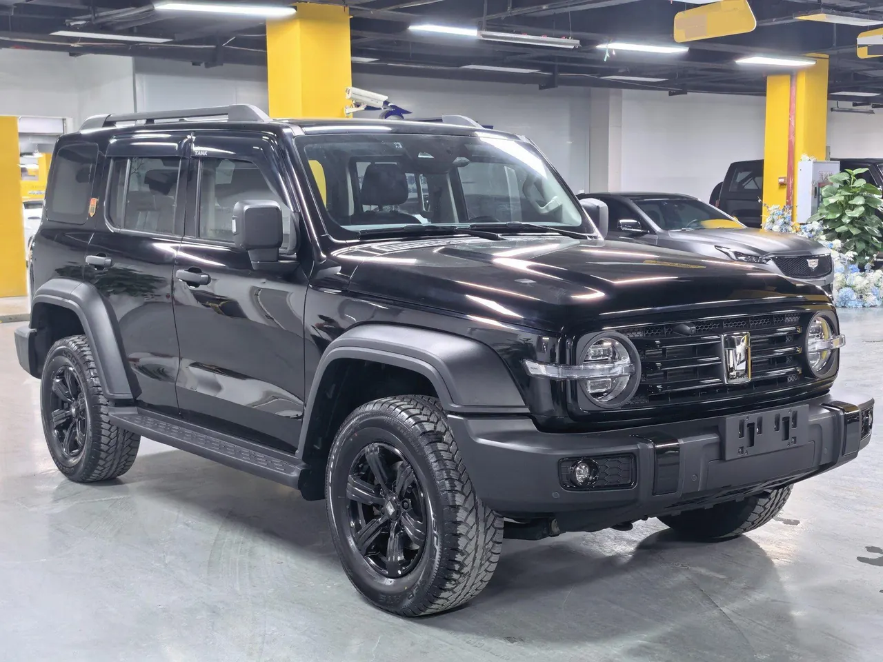 Tank 2021 Tank 300 2.0T Off-road Conqueror Automatic 3