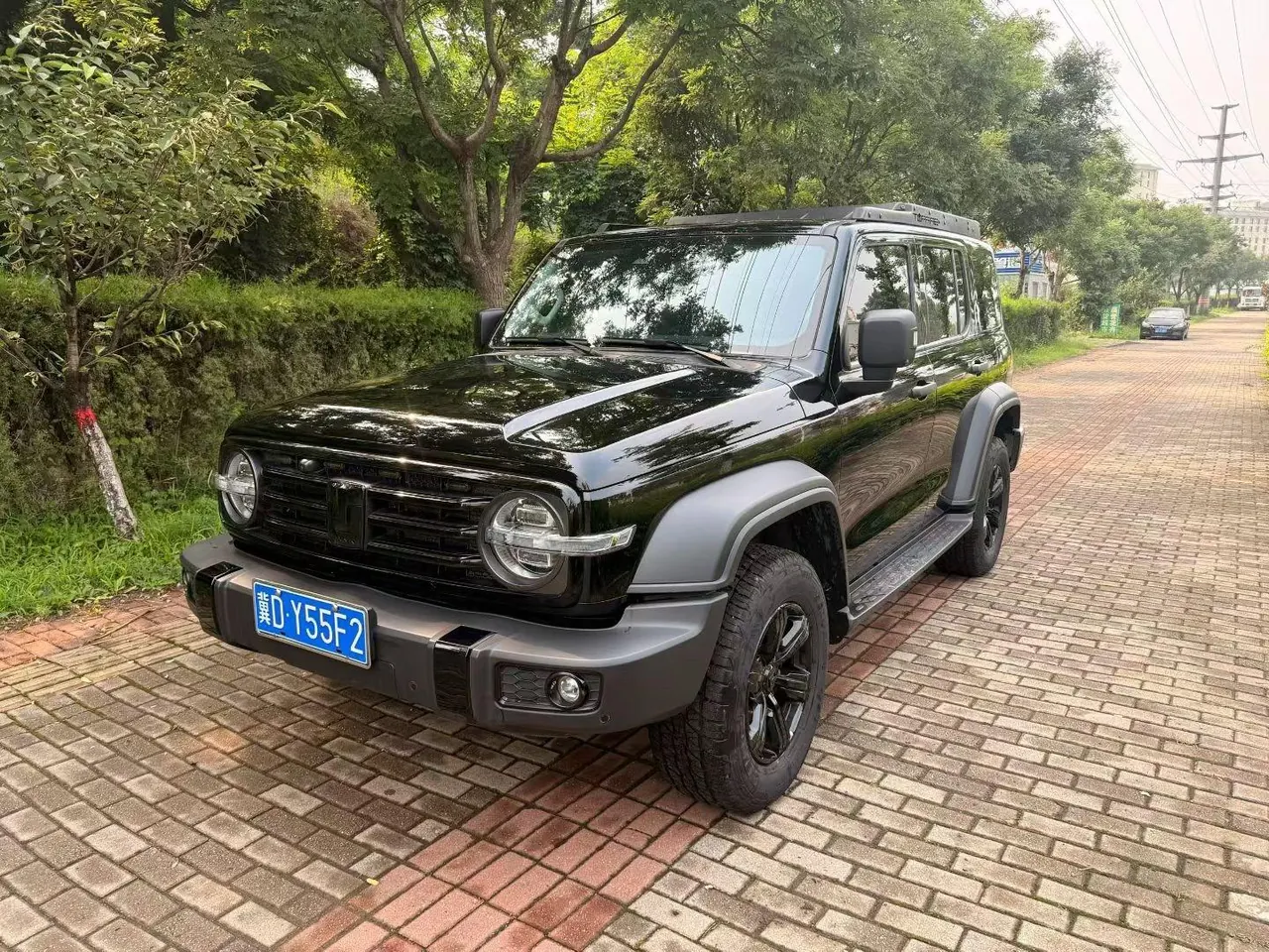 Tank 2021 Tank 300 2.0T Off-road Conqueror Automatic - View 1