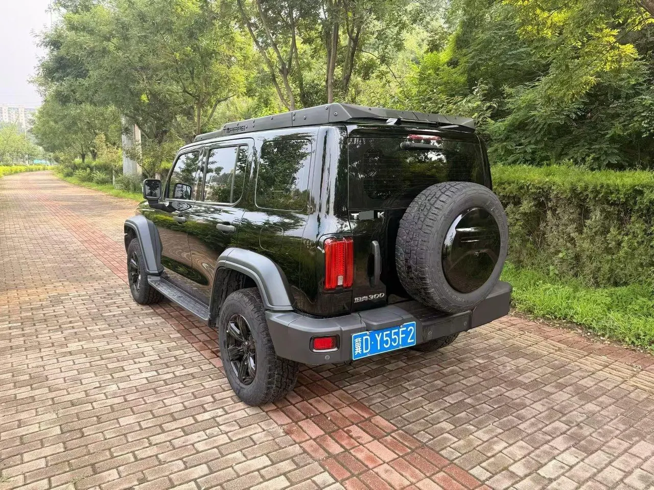Tank 2021 Tank 300 2.0T Off-road Conqueror Automatic 7