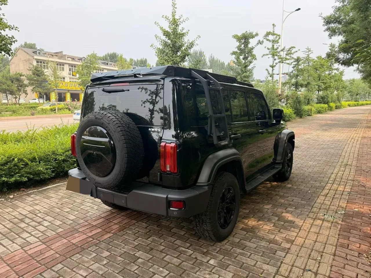Tank 2021 Tank 300 2.0T Off-road Conqueror Automatic 9