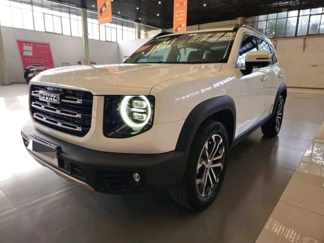 Haval 2020 big dogs 1.5T border animal husbandry version of automatic gear - View 1