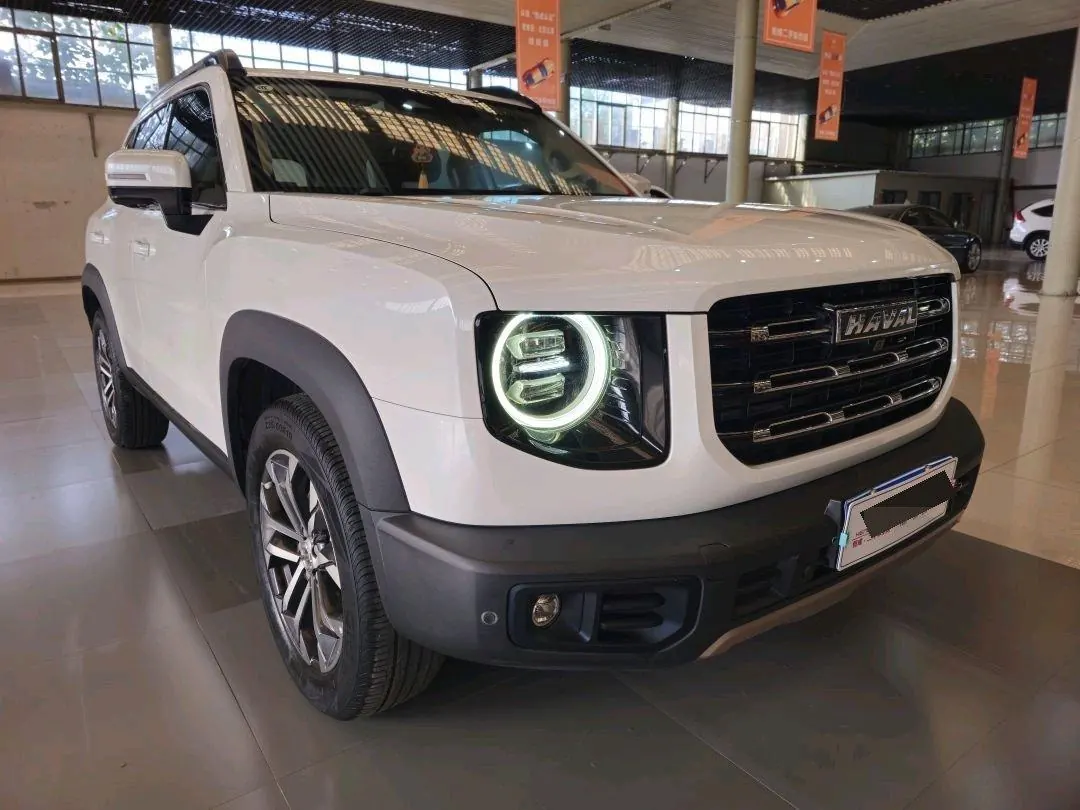 Haval 2020 big dogs 1.5T border animal husbandry version of automatic gear 2