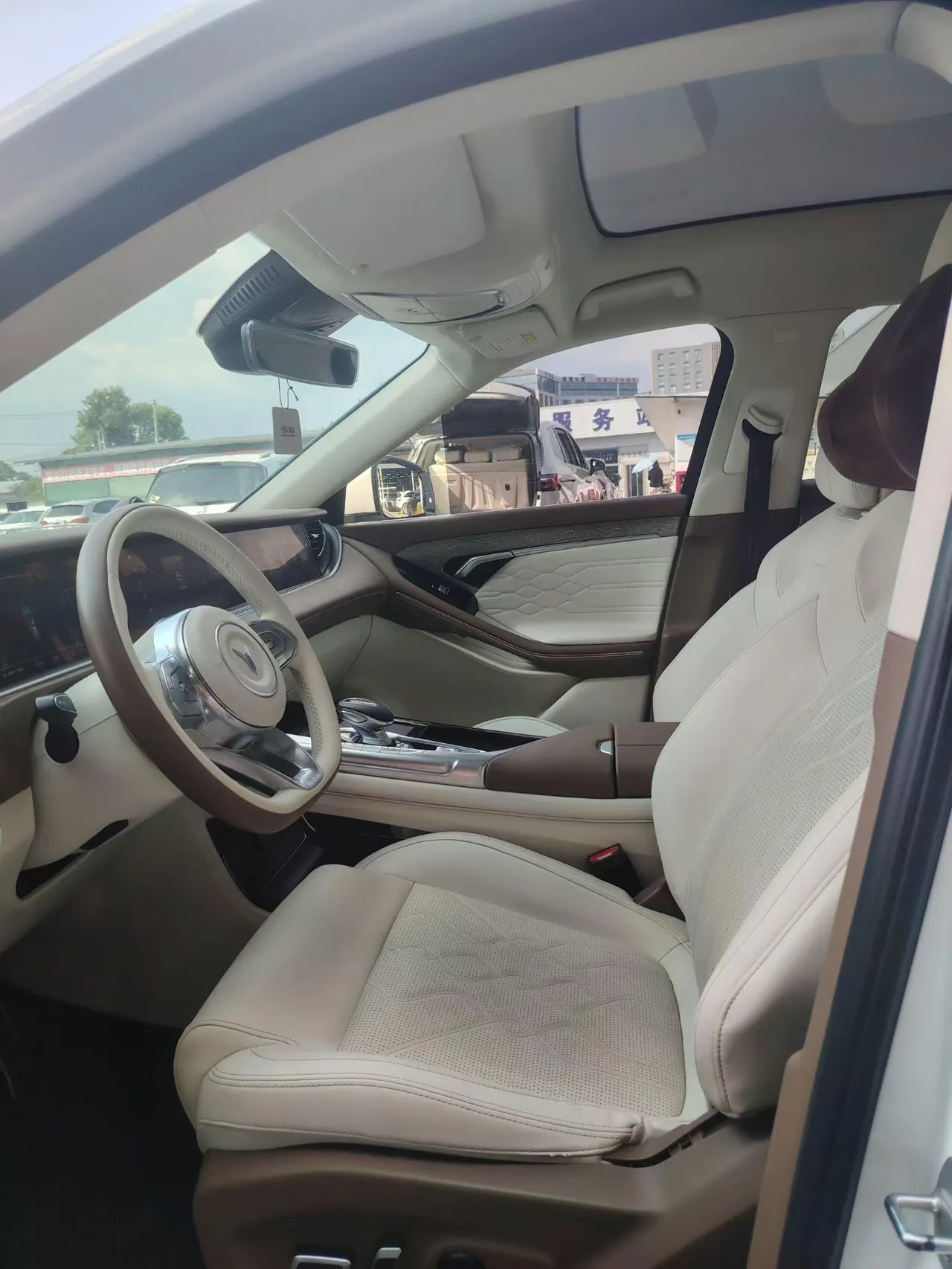 Voyah 2021 FREE 1.5T 4-wheel drive extended range starting commemorative edition exclusive package automatic gear 8