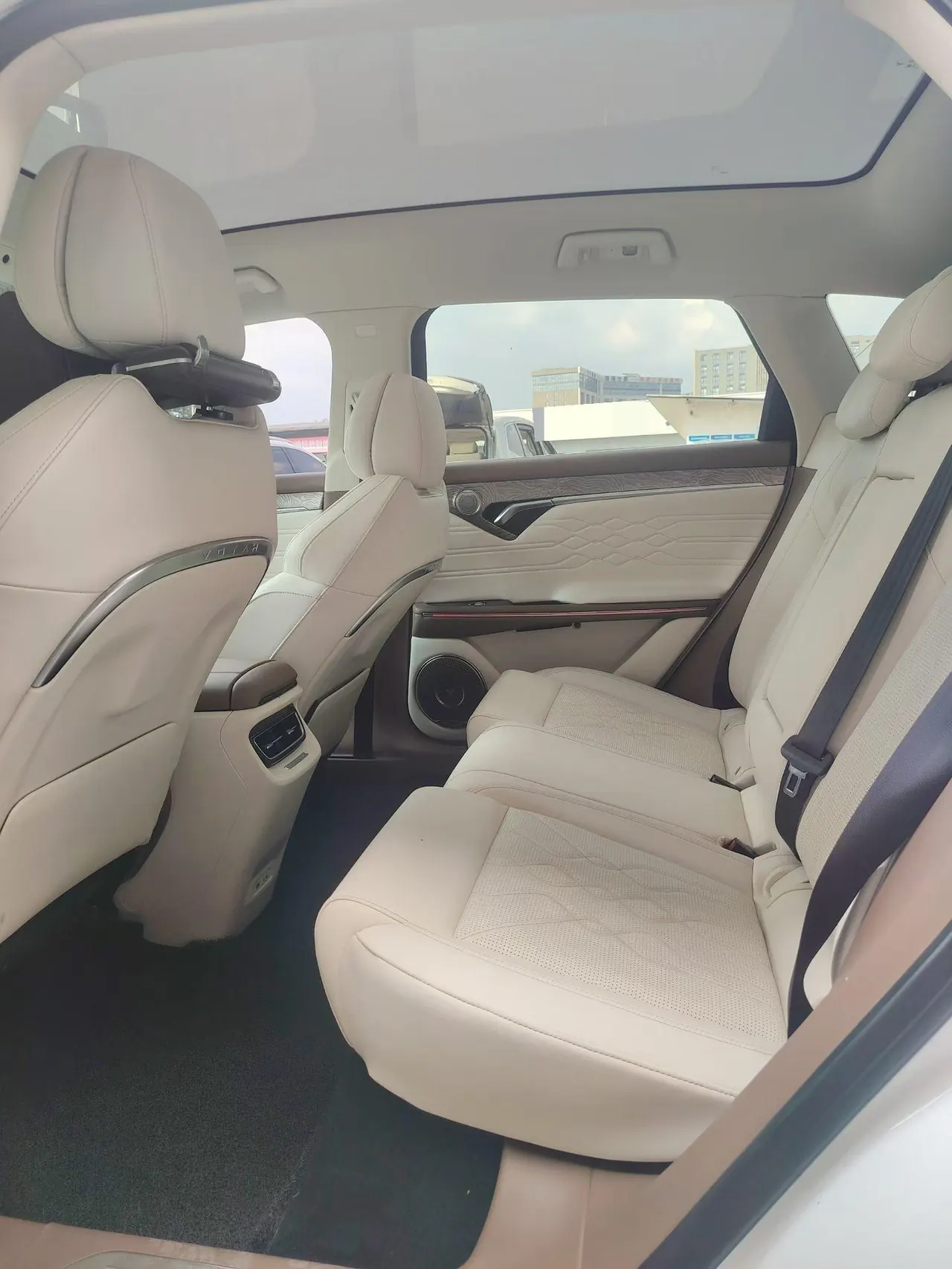 Voyah 2021 FREE 1.5T 4-wheel drive extended range starting commemorative edition exclusive package automatic gear 9