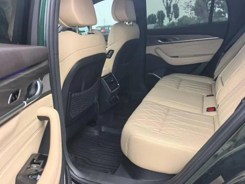Geely 2025 XingyueL (Monjaro) 2.0TD Oriental Yao Star-Gazing Edition Automatic Transmission 4