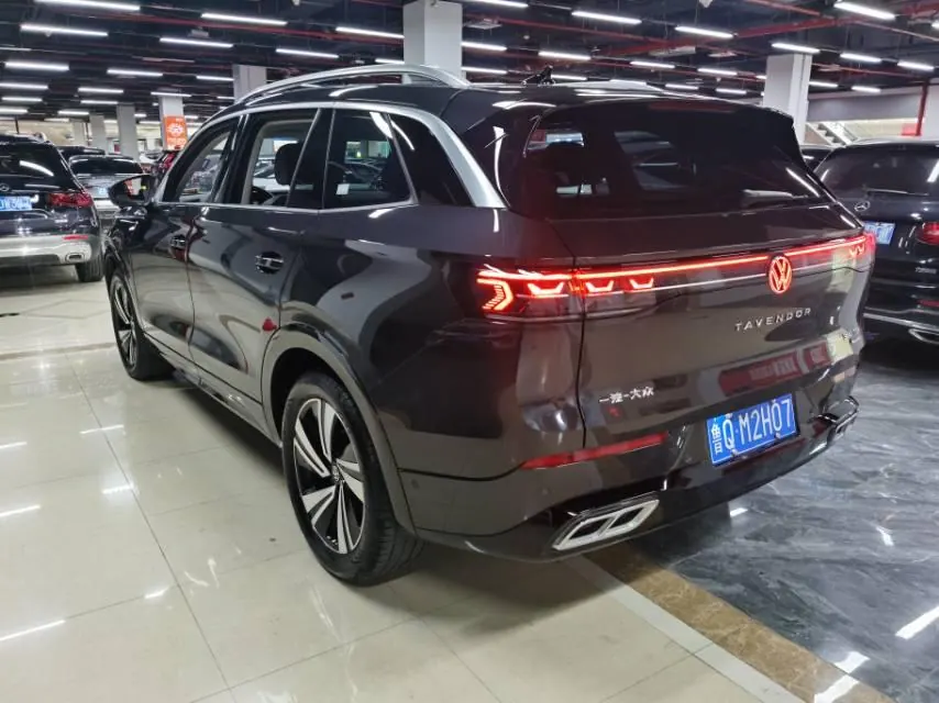 Volkswagen 2024 model tour R-Line 2.0TSI 380TSI four-wheel drive parade version automatic gear 8