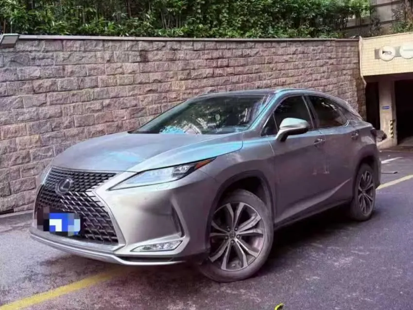 Lexus RX (Imported) 2021 RX300 2.0T Four-wheel Drive Special Edition Automatic Gear - View 1