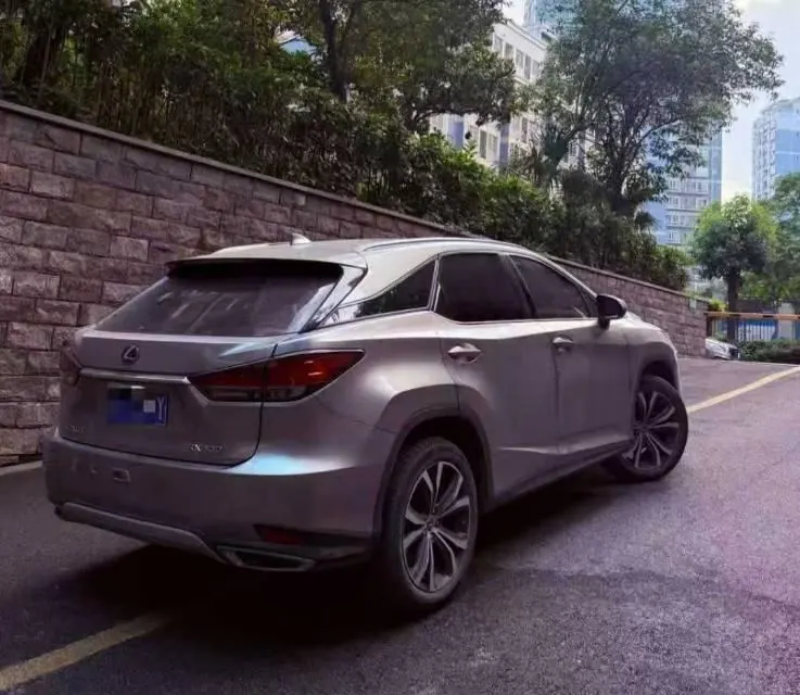Lexus RX (Imported) 2021 RX300 2.0T Four-wheel Drive Special Edition Automatic Gear 6