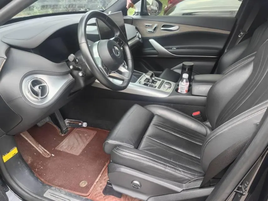 Denza 2020 Denza X PHEV 2.0T Ultimate Automatic Gear 2