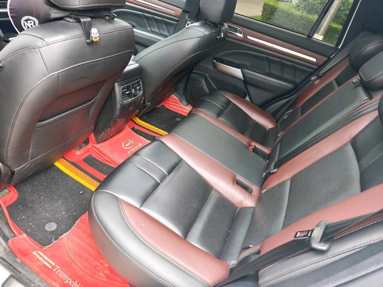 Chuanqi 2020 GS8S 2.0T 390T Two-Drive Luxury Smart Joint Edition Automatic Gear 5