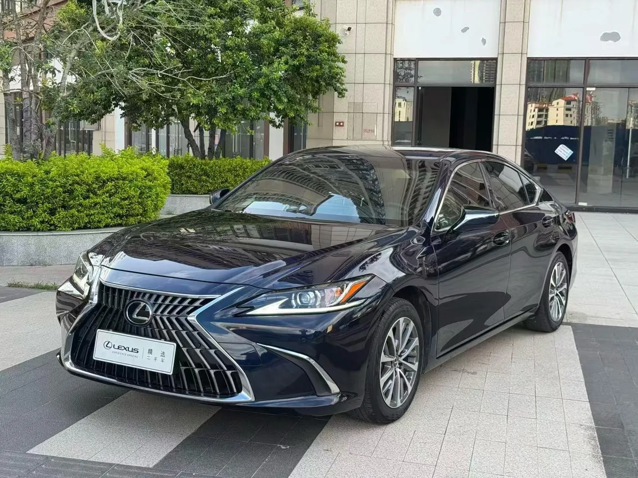 Lexus ES (Imported) 2022 ES200 2.0 Stepless Premium Edition Automatic Gear 4
