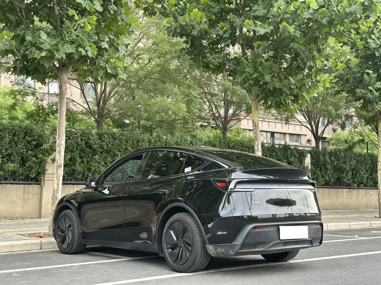 Tesla 2026 Model Y Rear-Wheel-Drive Automatic 4