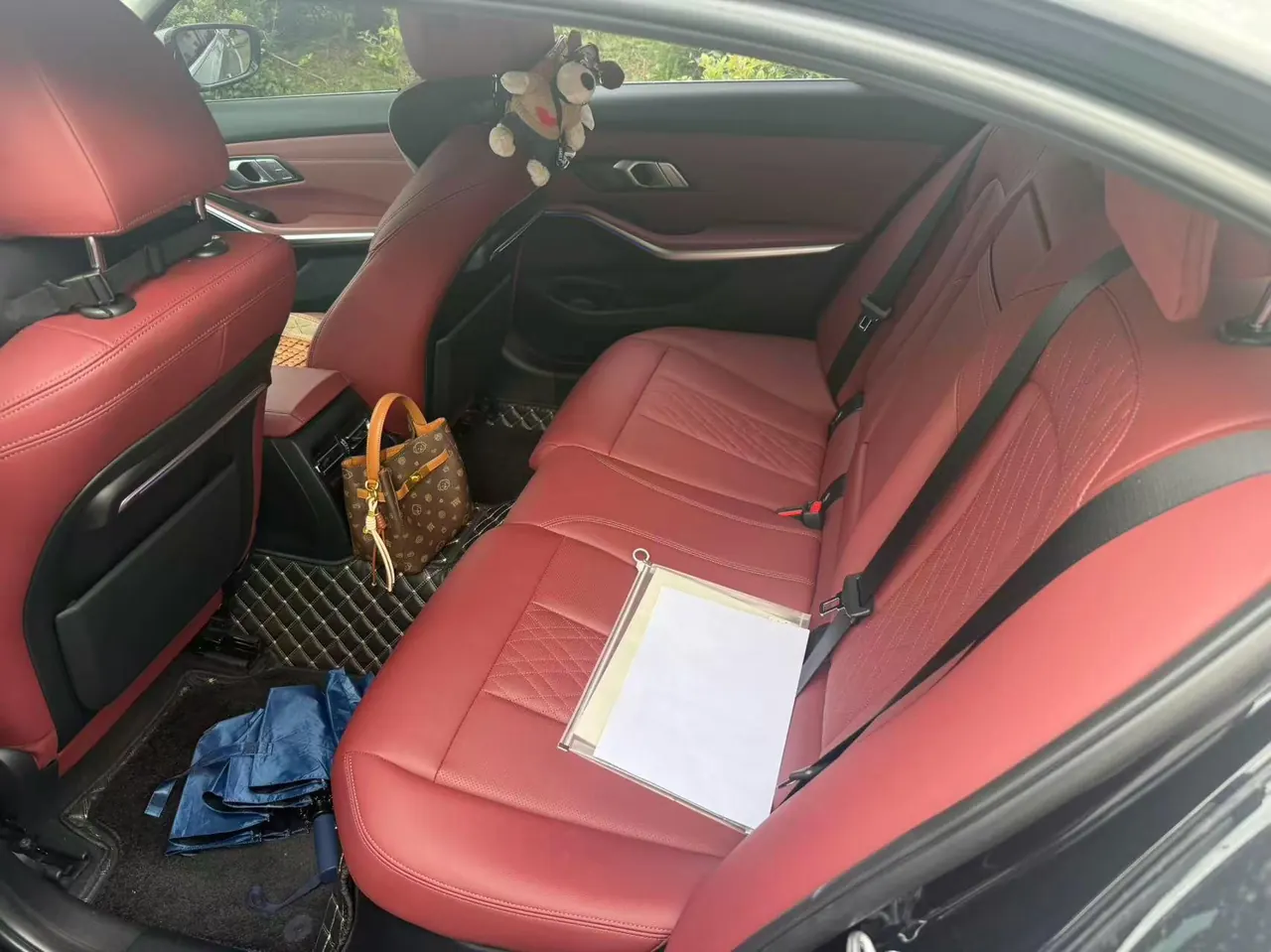 BMW 3 Series 2022 325Li 2.0T M Sports Suit (Modified) Automatic Gear 3