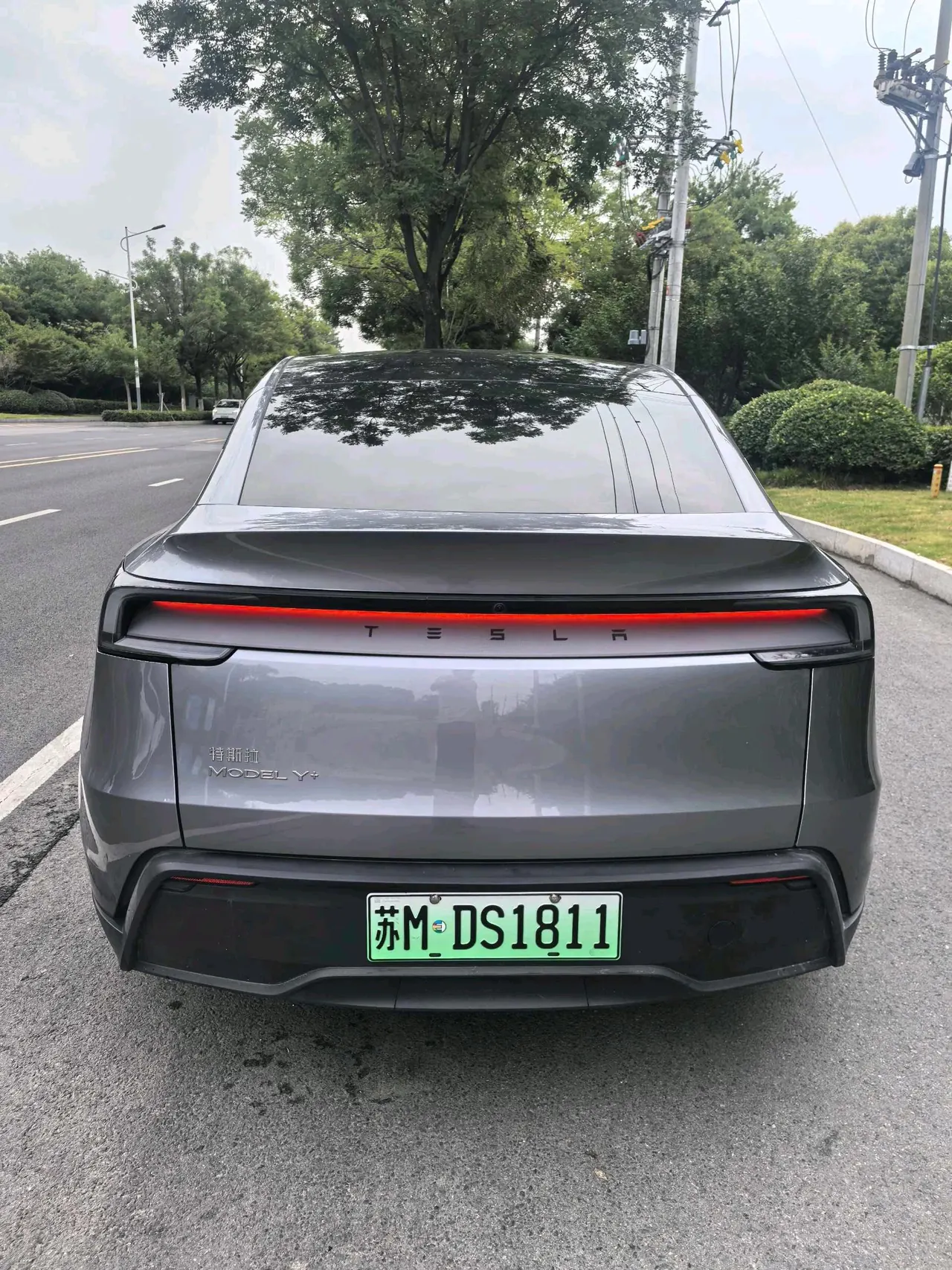 Tesla 2026 Model Y Long Range Rear-Wheel-Drive Automatic 6
