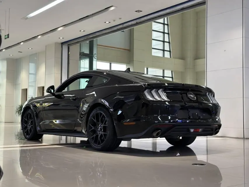 Ford Yema (Imported) 2021 Yema S 2.3T EcoBoost Automatic 3