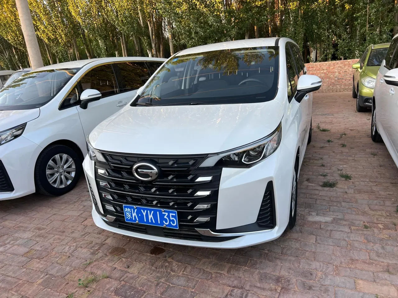 Chuanqi 2021 M6 1.5T 270T Deluxe Edition 7-seat Automatic Gear - View 1