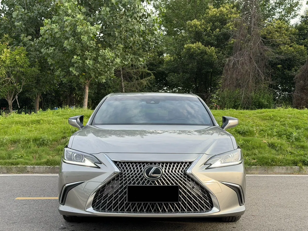 Lexus ES (Imported) 2020 ES200 2.0 Stepless Premium Edition Automatic Gear 2