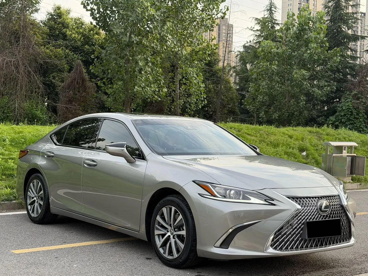 Lexus ES (Imported) 2020 ES200 2.0 Stepless Premium Edition Automatic Gear 3