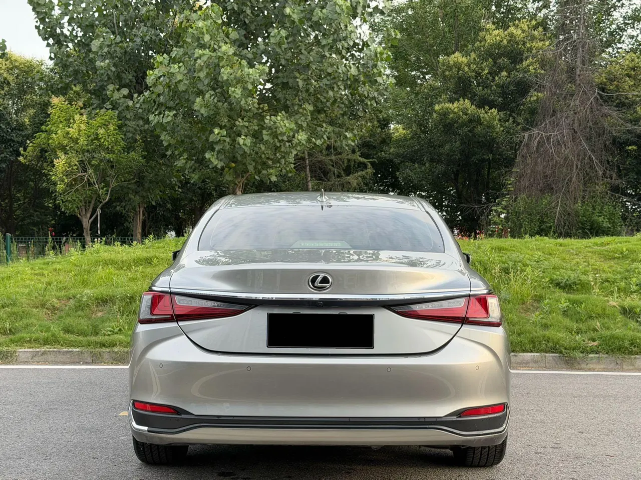 Lexus ES (Imported) 2020 ES200 2.0 Stepless Premium Edition Automatic Gear 8
