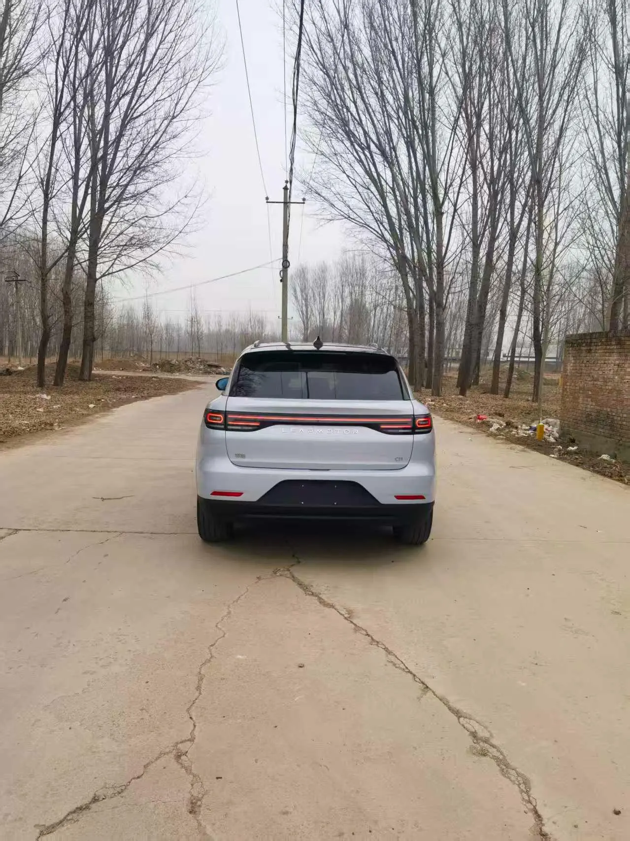 Leapmotor 2021 C11 Deluxe Edition (Modified) Automatic Gear 5