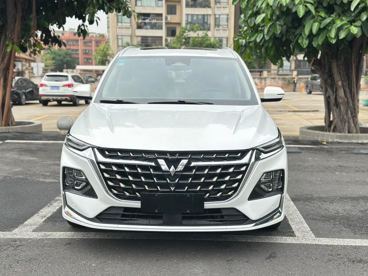WuLing 2023 Capgemini HEV 2.0 Luxury Automatic Transmission 2