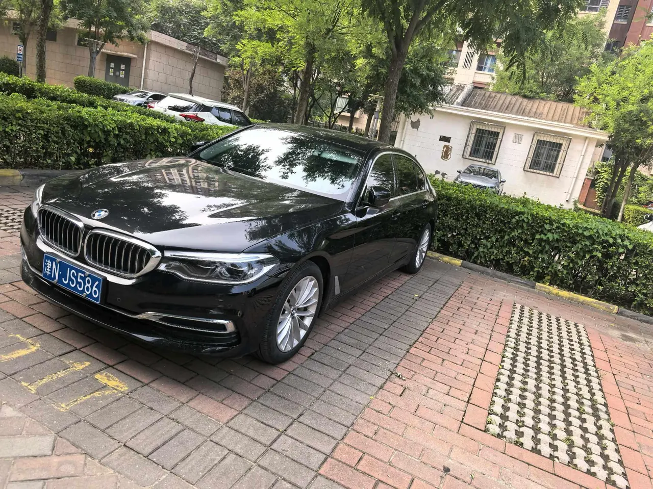 BMW 5 Series 2020 530Li 2.0T Premium Luxury Suit Automatic Gear - View 1