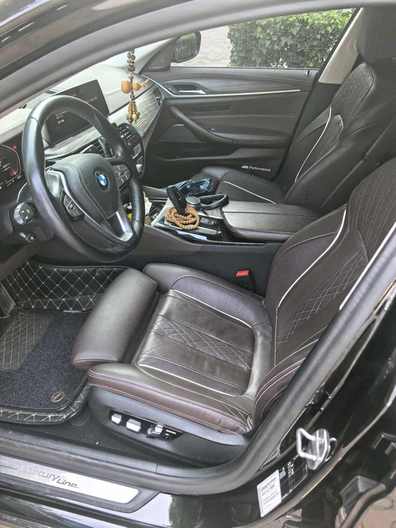 BMW 5 Series 2020 530Li 2.0T Premium Luxury Suit Automatic Gear 3
