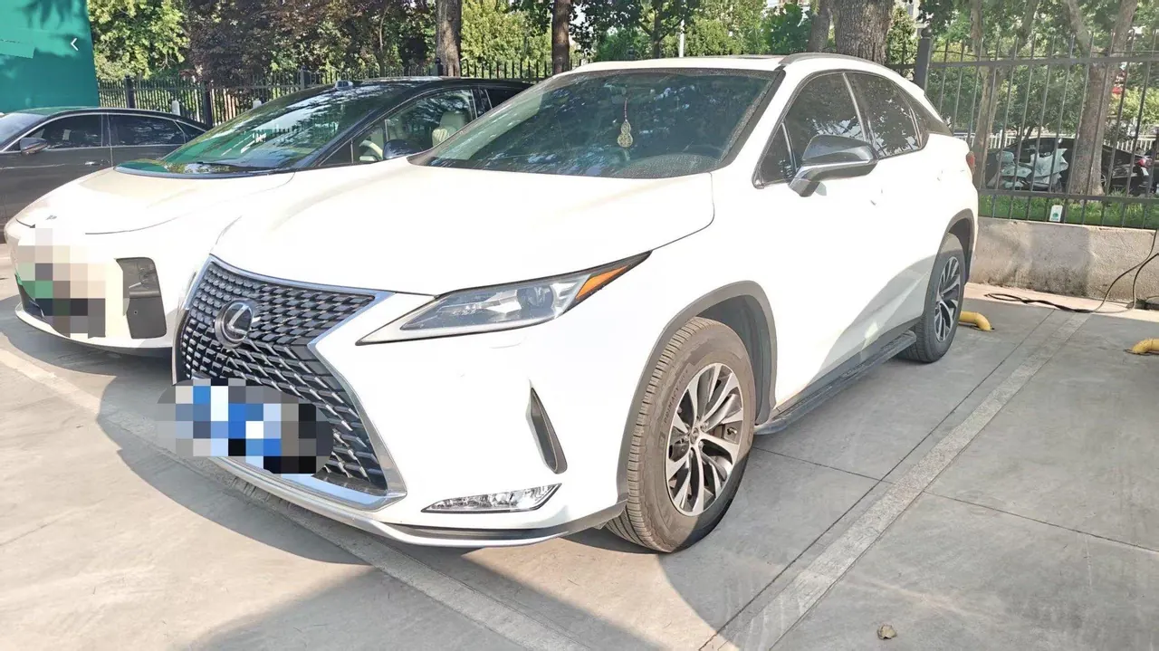 Lexus RX (Imported) 2020 RX300 2.0T Two-Drive Elite Edition (Revised) Automatic Gear - View 1