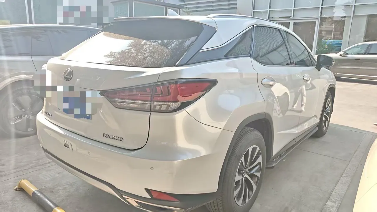 Lexus RX (Imported) 2020 RX300 2.0T Two-Drive Elite Edition (Revised) Automatic Gear 2